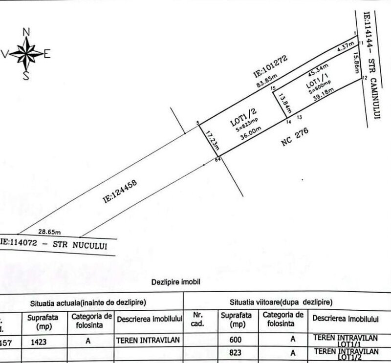 Domnesti-Teghes, intravilan 823 mp, strada asfaltata gaz-curent, zona vile